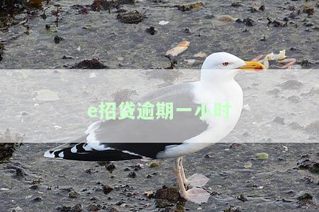 e招贷逾期一小时