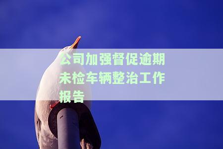 公司加强促逾期未检车辆整治工作报告如何撰写？