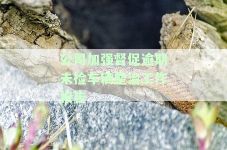 公司加强促逾期未检车辆整治工作报告，公司采取行动：促逾期未检车辆进行整治报告