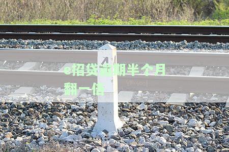 'e招贷逾期一个月：影响及还款指南'