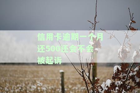 2021年信用卡逾期一个月，警惕！2021年信用卡逾期一个月的后果严重