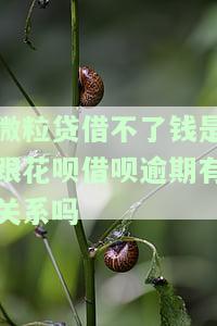 欠微粒贷借呗花呗无力偿还会不会坐牢，无力偿还微粒贷、借呗和花呗，是否会面临牢狱之灾？