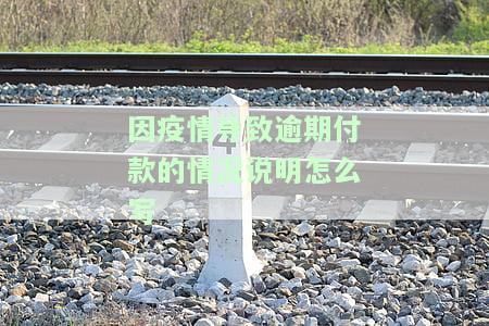 因疫情导致逾期付款的情况说明怎么写啊，如何撰写因疫情导致逾期付款的情况说明