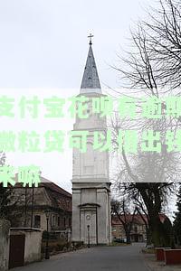 支付宝花呗有逾期微粒贷可以借出钱来嘛