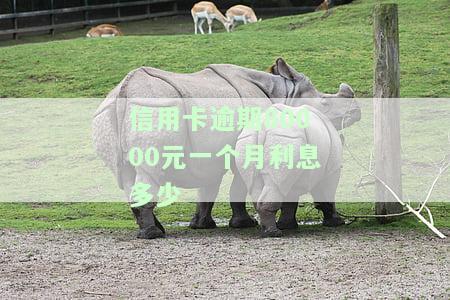 信用卡逾期80000元一个月利息多少