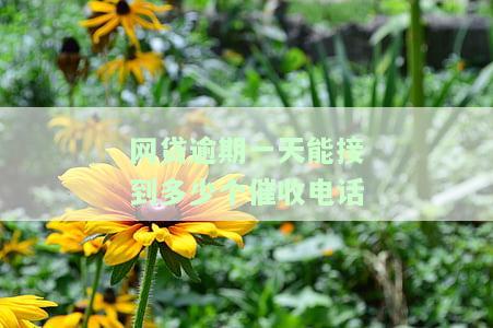 网贷逾期每天接几个电话：影响与应对策略