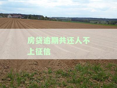 房贷逾期不还对共同还款人的影响：全面解析
