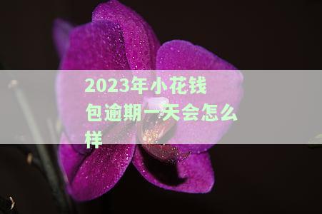 小花钱包逾期2021年还会暴力催收吗，2021年小花钱包是否会继续进行暴力催收？