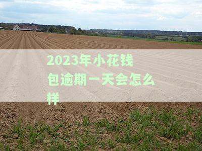 2023年小花钱包逾期一天会怎么样-2023年小花钱包逾期一天会怎么样呢