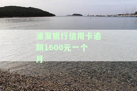 浦发银行逾期一个月,让我全额还清，浦发银行催收：逾期一个月，需全额还款