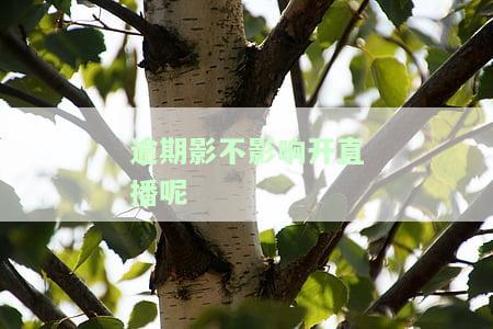 逾期是否影响直播间？解决办法是什么？
