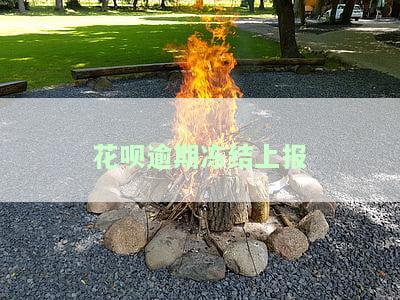 花呗被逾期冻结了账户能找人帮忙解调吗，如何解冻因逾期而被冻结的花呗账户？能否找人帮忙解决？