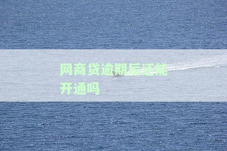 网商贷逾期还款后能否立即再借款？安全性如何？