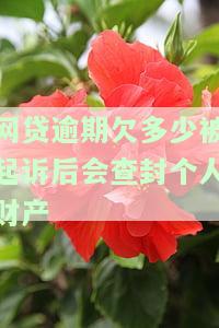 网贷欠多少会被起诉到法院，网贷欠款达到一定数额，可能面临被法院起诉的风险！