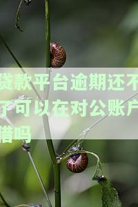 有逾期记录，是否能申请办理对公账户？