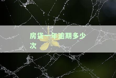 房贷一年逾期多少次-房贷一年逾期多少次会被起诉