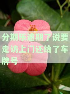在分期乐欠款了打电话给我说要上门是真的，警惕！分期乐催收人员声称要上门，欠款者需注意