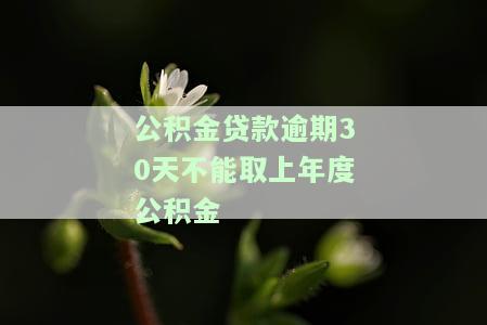 公积金贷款逾期后多久能取公积金，公积金贷款逾期后的提取时间：你需要知道的一切