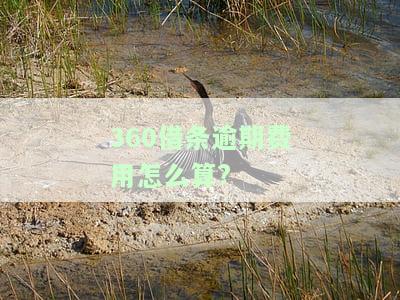 逾期费用怎么算出来的，计算逾期费用的公式与方法