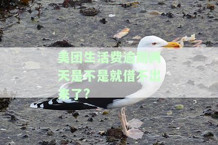 美团生活费逾期几天还了还可以再借吗，美团生活费：逾期还款后还能再次借款吗？
