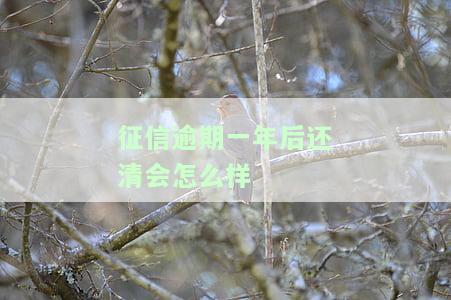 征信逾期1年会产生什么影响？能否被消除？