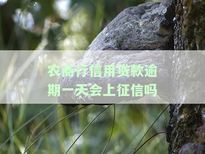 农商银行贷款逾期一天是不会上征信是吧，农商银行贷款逾期一天是否会上征信？答案在这里！