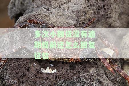 多次小额贷没有逾期提前还怎么回复征信-多次小额贷没有逾期提前还怎么回复征信
