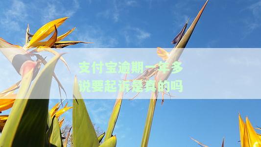 支付宝逾期一年多，真的会被起诉吗？