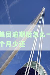 美团逾期后怎么一个月少还一百块钱，如何在美团逾期后减少每月还款额度？
