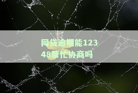 网贷逾期能否通过客服电话协商解决？