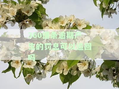 逾期罚息能否追回？安全问题如何？