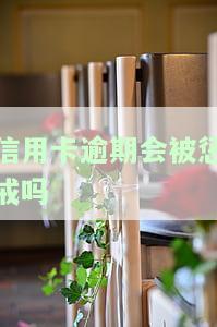 信用卡逾期会被惩戒吗