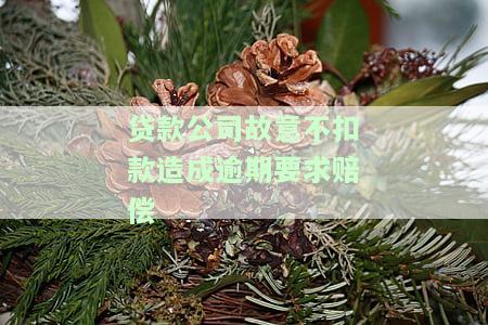 贷款公司故意不扣款造成逾期要求赔偿