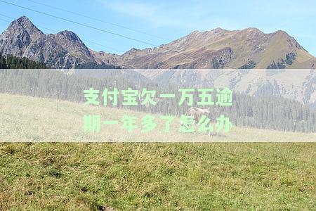 支付宝欠一万逾期一年还多少，支付宝欠款一万元，逾期一年后需要偿还多少钱？