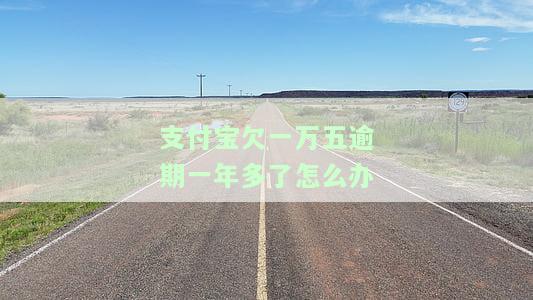 支付宝欠款1万多元，逾期一年未还，是否会面临刑事责任？
