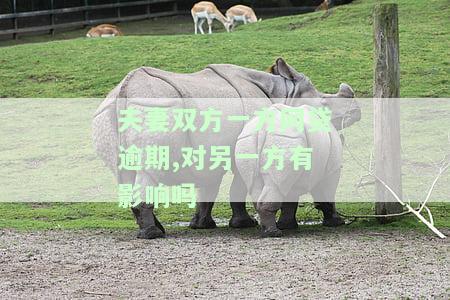 夫妻双方一方网贷逾期,对另一方有影响吗可以房抵贷吗，网贷逾期会影响配偶？房抵贷是否可行？