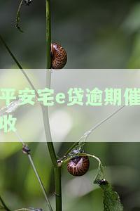 平安宅e贷逾期催收怎么办，平安宅e贷逾期催收处理方法大全