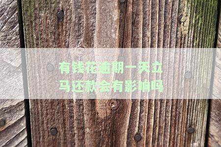 有钱花逾期一天立马还款会有影响吗-有钱花逾期一天立马还款会有影响吗知乎