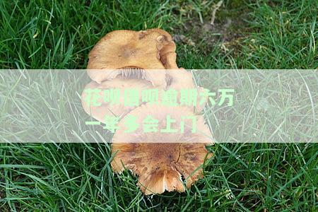 花呗借呗逾期六万一年多会上门-花呗借呗7万逾期半年了,他们真的会上门吗?