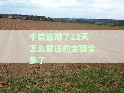 中信银行逾期10天后能否再取现？原因解析