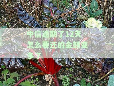 中信银行：逾期10天，今日不还将取消分期还款