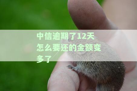 中信逾期10万，显示已还清？困惑中…