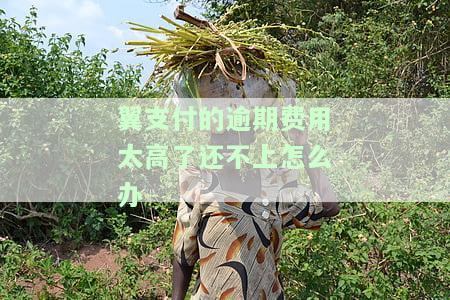 翼支付还不起了怎么办，如何解决翼支付还款问题？