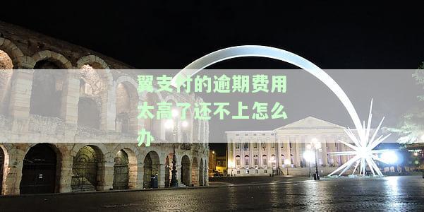 翼支付钱还不上？解决方案在此！