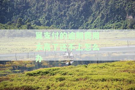 翼支付的逾期费用太高了还不上怎么办-翼支付还不起了怎么办