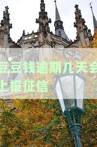 豆豆钱逾期几天会上报征信-豆豆钱逾期会怎么样