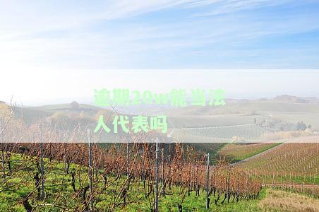 征信逾期是否影响法人资格？相关讨论