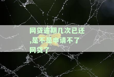 网贷逾期了几次怎么办会不会成失信人，网贷逾期多次，是否会成为失信人？解决方案解析
