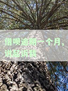 借呗逾期一个月，会起诉我吗？真还是假？