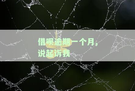借呗逾期一个月,说起诉我-借呗逾期一个月,说起诉我是真的吗